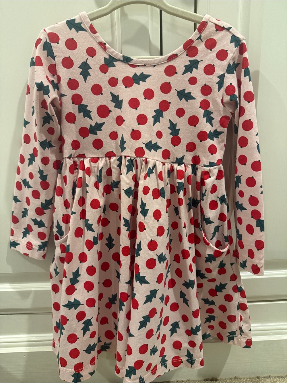 Hanna Andersson Pink Long-Sleeve Holly Print Dress